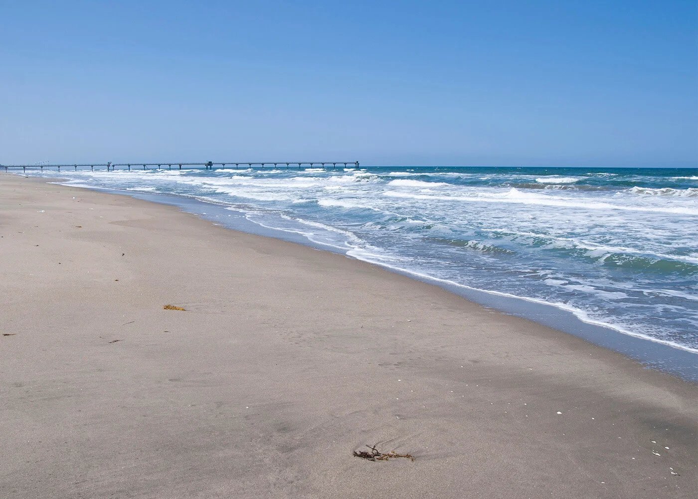 🏖️ 하사키 해수욕장 (하사키 카이스이요쿠조) 이미지 4